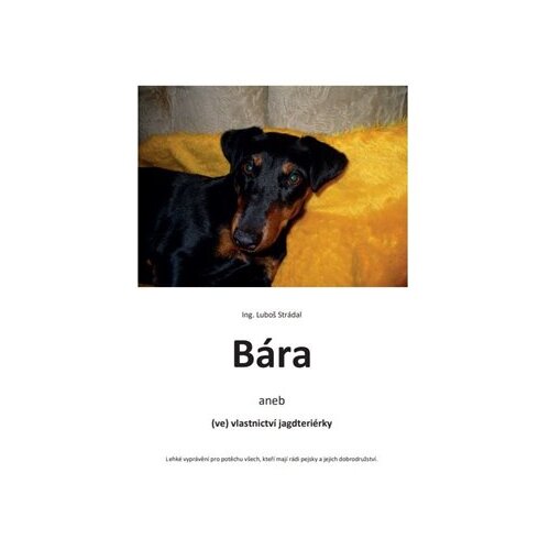 Bára - Luboš Strádal