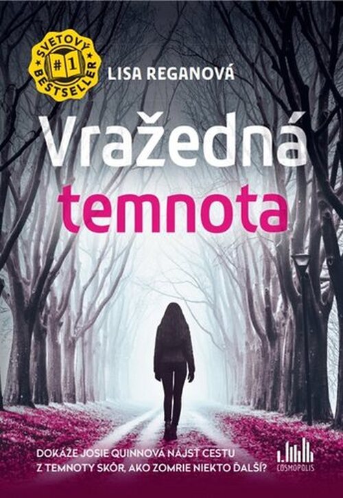 Vražedná temnota (slovensky) - Lisa Regan